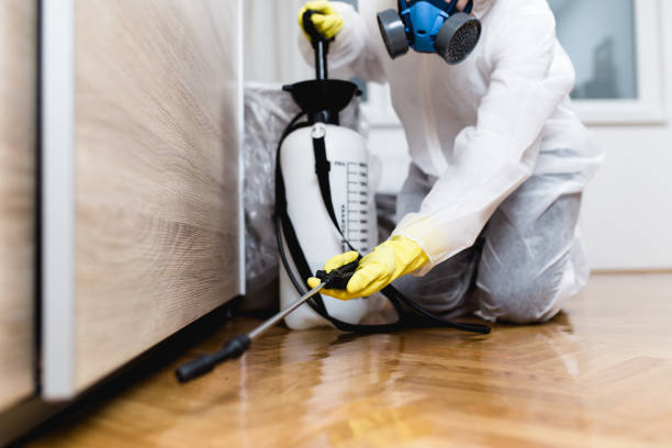 Best Exterminator Services  in Deer Park, TX