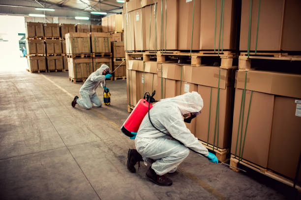 Best Affordable Pest Control Services  in Deer Park, TX