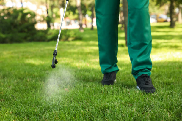Best Cockroach Control Services  in Deer Park, TX