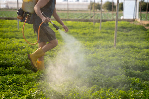 Deer Park, TX Pest Control Company