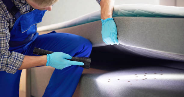 Best Best Pest Control Companies  in Deer Park, TX